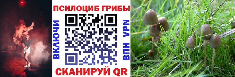 Галлюциногенные грибы мухоморы мега ONION Мурино